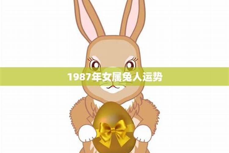 87年属兔运势