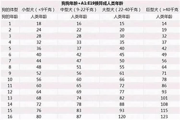 属鼠人2023年本命年运势如何呢