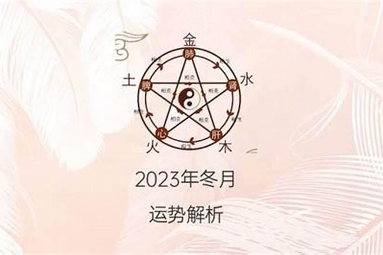 97年属牛女2020年感情运势