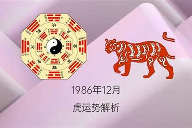 农历1986年八字合吗