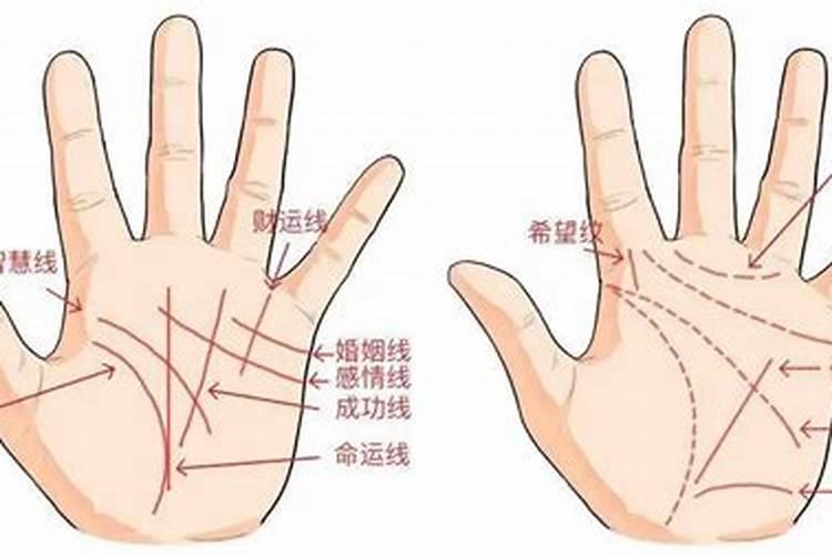 经常梦到和老公吵架打架