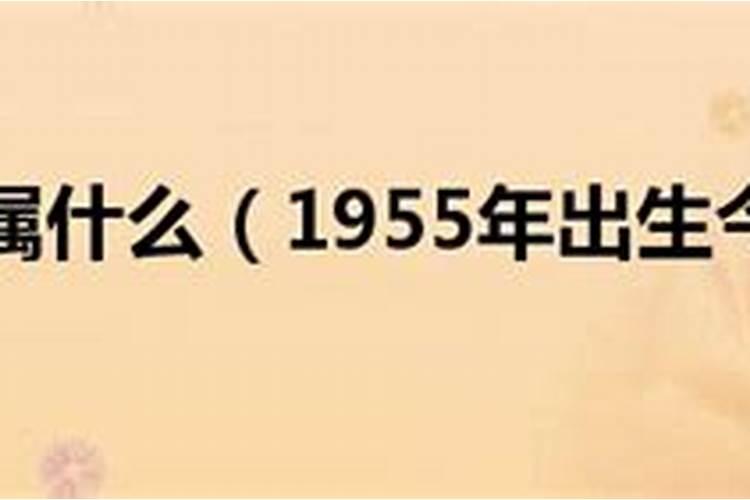 1955年属年今年运势