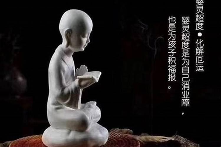 属虎未来十年运势走向