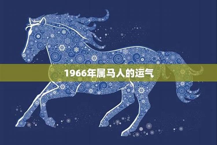 查1966年属马人在2024的运气