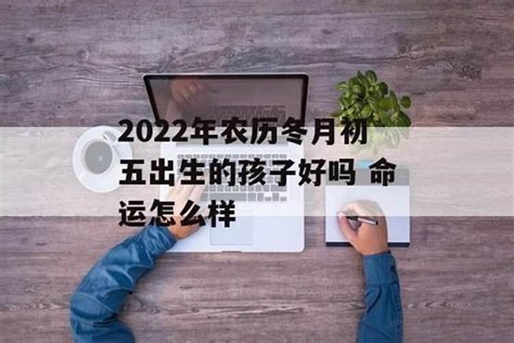 属兔的哪一年运势好呢