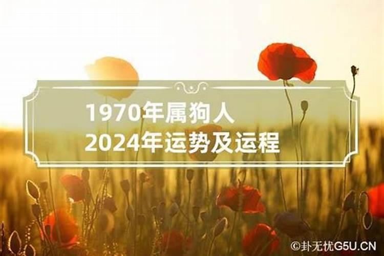 1970年狗的人2024年运程