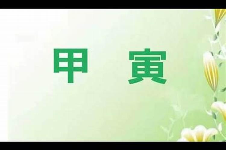 梦到三只白鸽子什么意思呀解梦