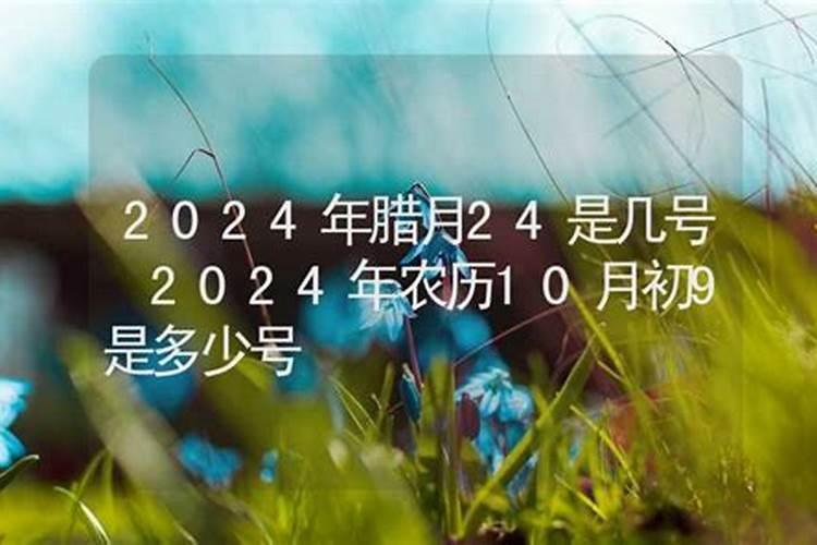 2023属性蛇下半年运势如何看呢