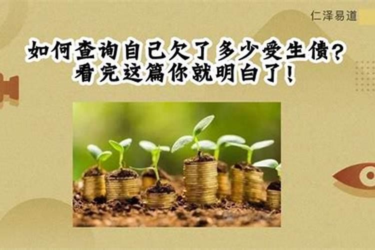 属鼠的人2019年的运势及运程