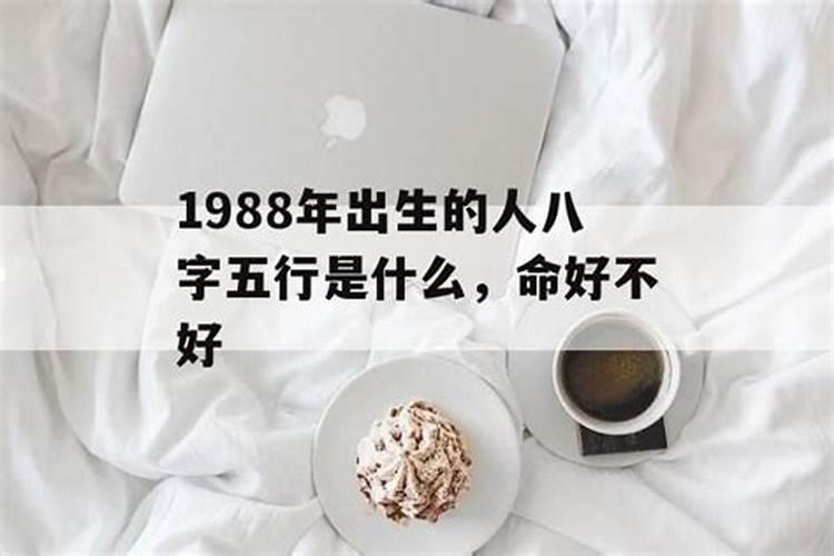 八字里的辰代表什么