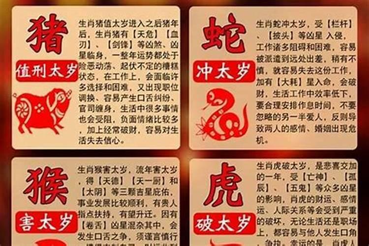 属兔的今年怎么破太岁？