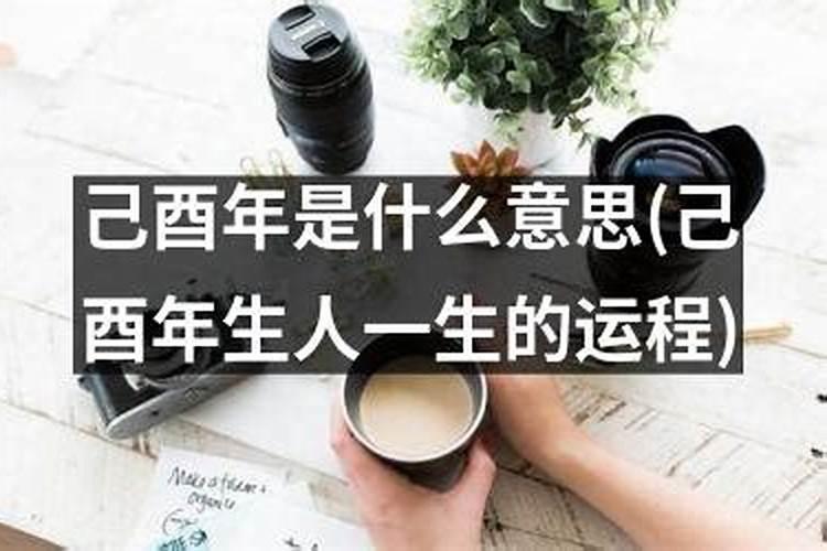 梦见狗追着老公咬什么意思