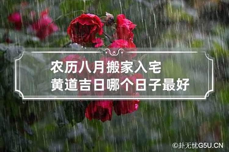 虎今年的运气好吗