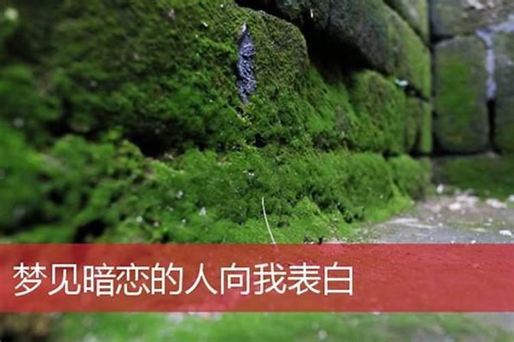 苹果生辰此刻怎么设置桌面