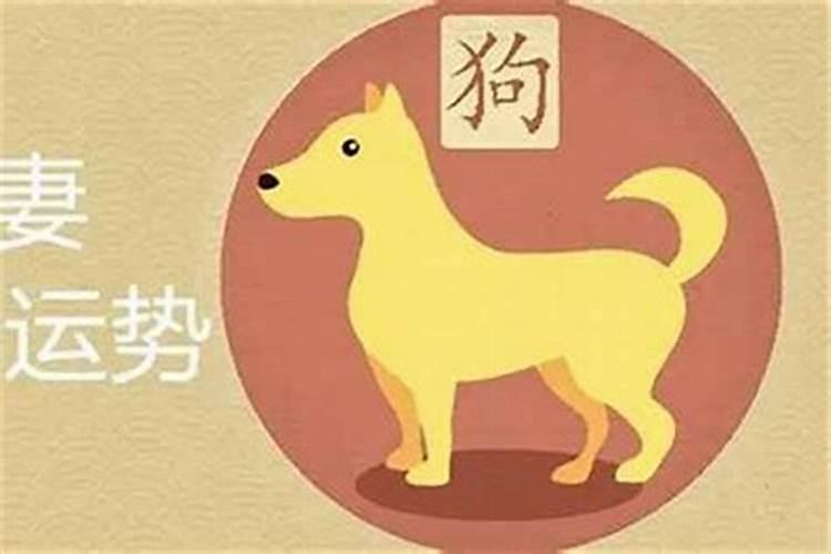 属犬不能与什么属相婚配