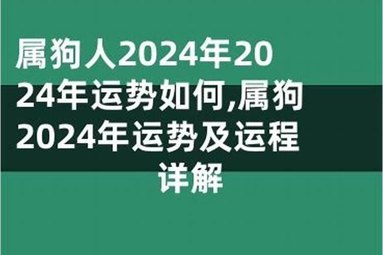 梦到狗狗舔我的手指