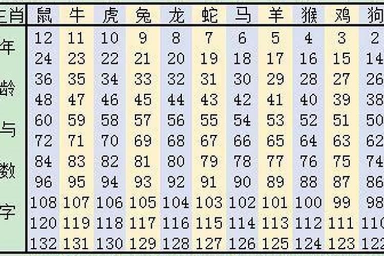 生肖合码表2019正版