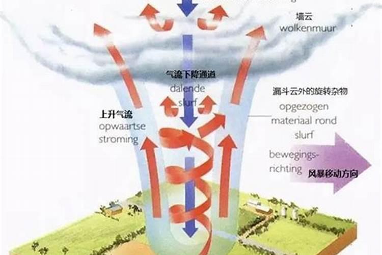 梦到狗摔死很伤心