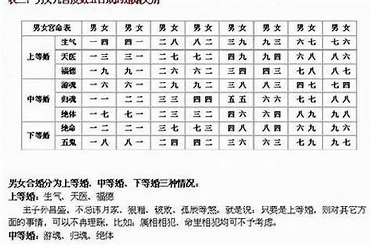 2023年是属什么的是什么命运