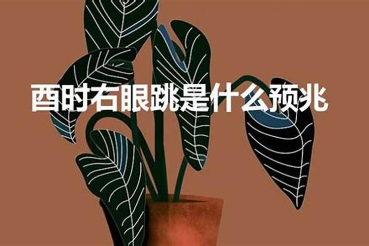 梦到有老男人想占便宜的东西给我