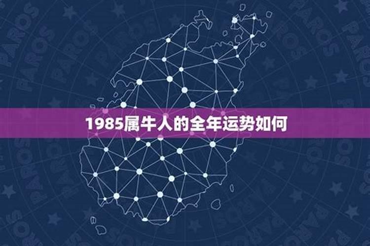 1985年属牛人腊月运势