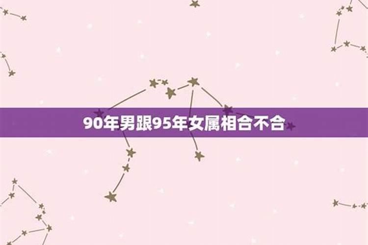 95年和96年八字合吗