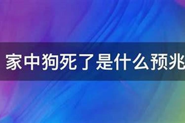 梦见老亲家来我家做客