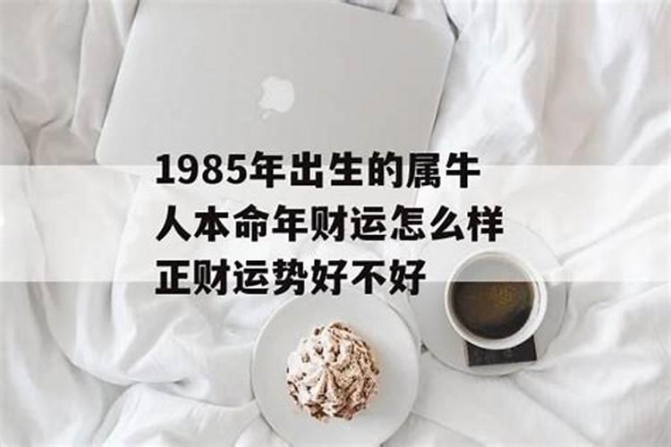 1985年出生属牛人运程如何