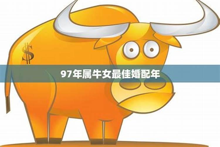 71年11月份的猪2023年运势