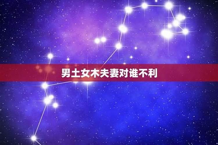 2024属猪人农历7月运势如何