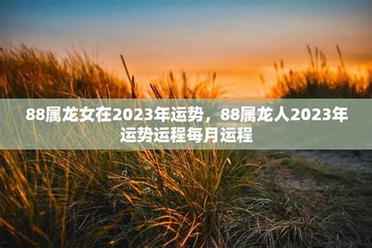 龙年运势2023运势如何呢女生