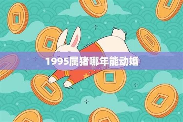 属狗的2023年9月运势如何看