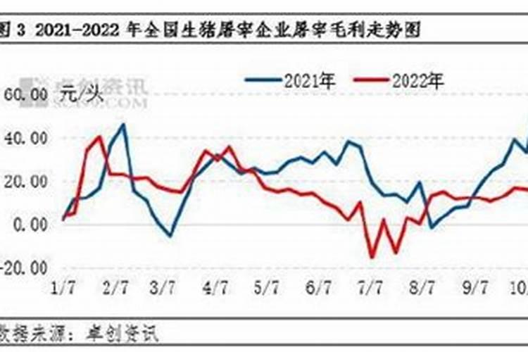 属狗的女人和属蛇的女人在一起好吗