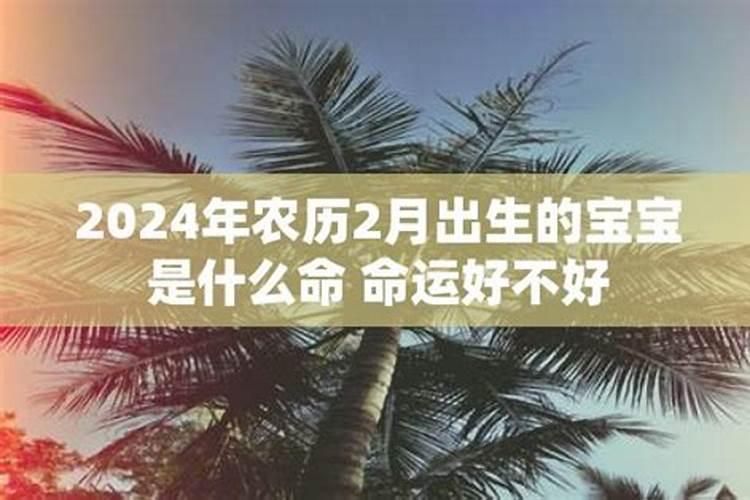 属兔人羊年运程怎么样