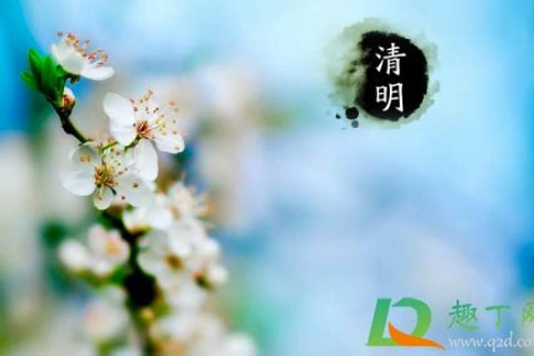 清明节几点