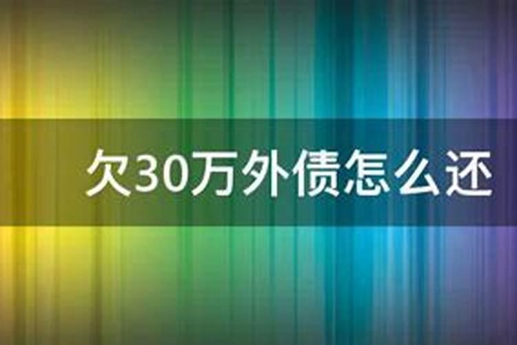 2023年哪个属性冲太岁