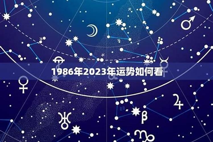 1986年的2023的运势如何