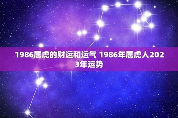 1986年在2023的运气