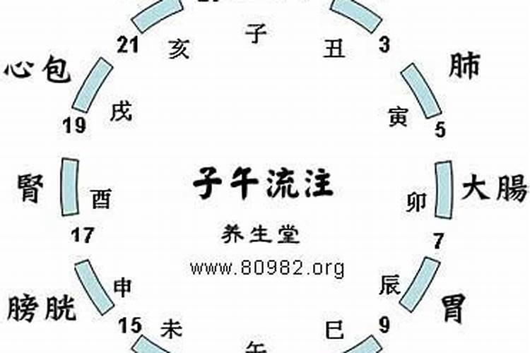 梦见死海鱼是什么意思