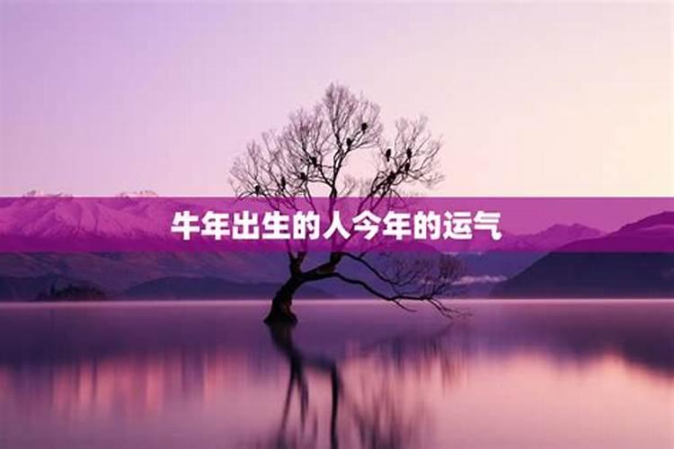 85年出生的人在今年运势