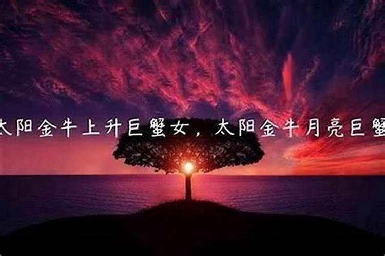 梦见出车祸但人没受伤