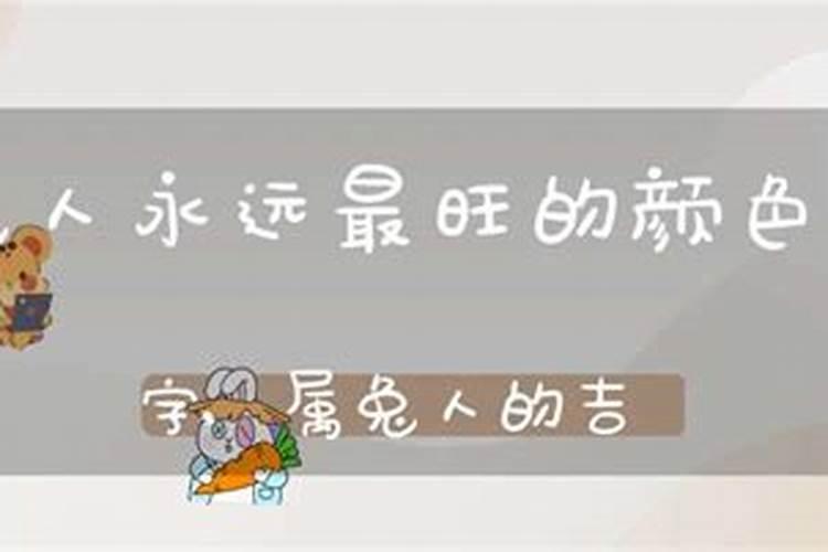 属兔人一生最旺的颜色和数字