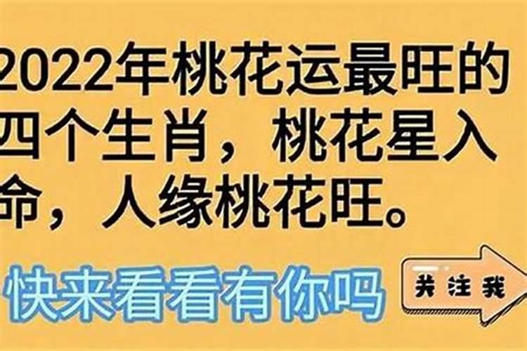 82年出生的人2023年桃花运势如何呢