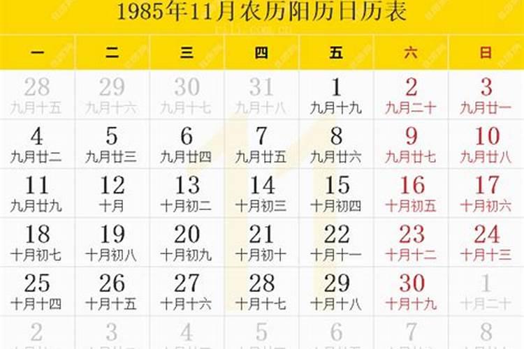 1985年属牛今年农历十一月运程如何