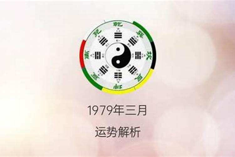 葵属什么五行属什么命运