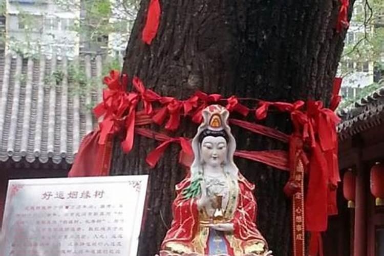 梦见弟媳妇大肚子在地里跑来跑去