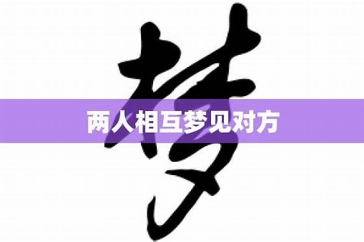 两个人互相想着对方会梦到对方吗