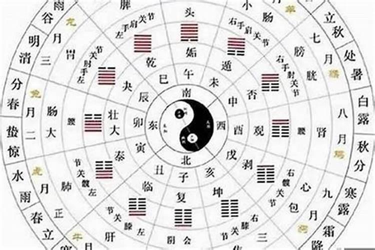 八字合婚天干地支是什么命