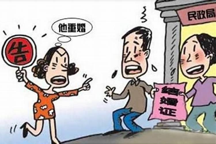 合婚上犯重婚是什么意思啊