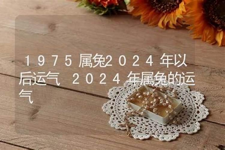 1964年属龙2023年的运势